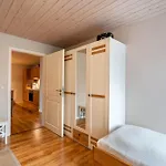 Paulsen - Regenpfeifer Appartement *
