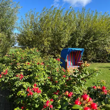 Ferienhof Paulsen - Regenpfeifer