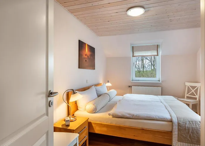 Paulsen - Regenpfeifer Pellworm