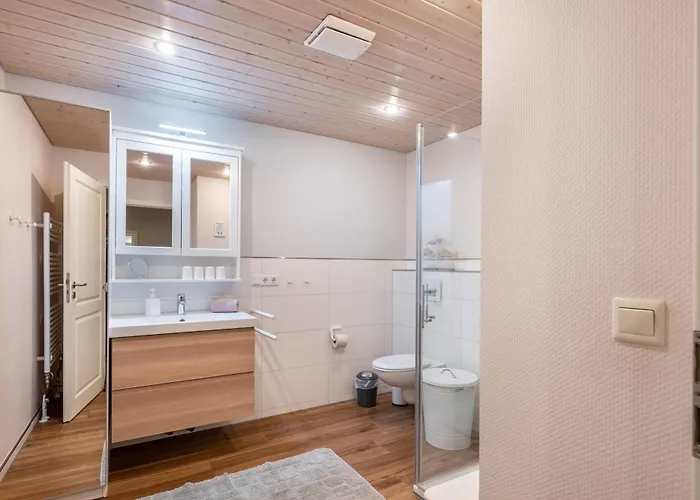 Paulsen - Regenpfeifer