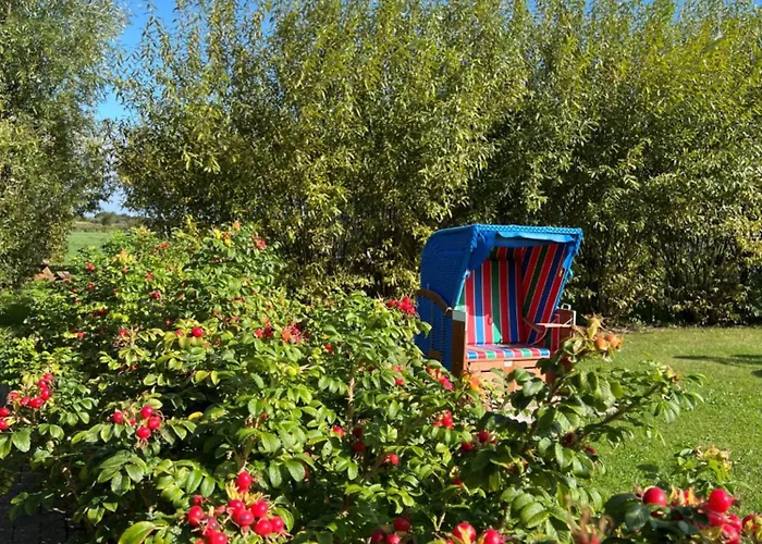 Paulsen - Regenpfeifer Apartamento Pellworm