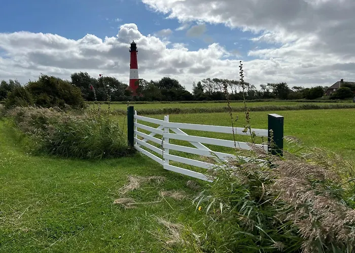 Paulsen - Regenpfeifer * Pellworm